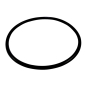 Preview: Jeep Wrangler TJ Fuel Module O-Ring 05-06