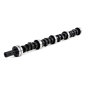 Preview: Jeep SJ & J Serie 5,0 & 5,9 ltr. V8 Nockenwelle Enginetech 71-91