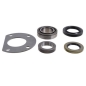 Preview: Jeep SJ & J Serie ein Radlager Set AMC 20 Hinterachse Spicer 80-86