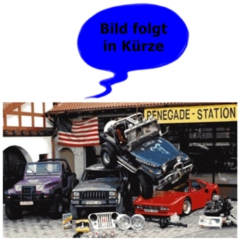 Jeep CJ CJ8 Radlauf Radkasten Radhaus Innenkotflügel hinten links 81-86