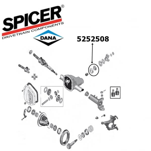 Dana 30 shop pinion bearing