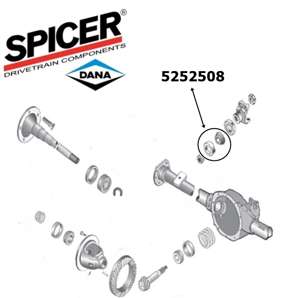 Jeep Cherokee XJ outer Pinion Bearing Package Dana 35 rear axle Spicer 8401