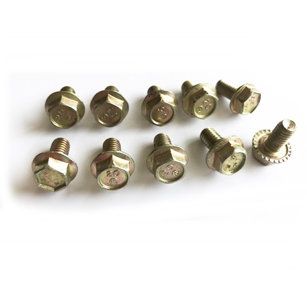 Jeep CJ7 CJ7 Chromated Differential Cover Bolt Set 10 piece AMC 20