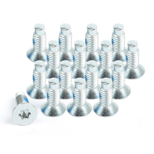 Jeep Wrangler YJ Scheibenrahmen Torx Schrauben Satz 16 Stk. silber 87-95