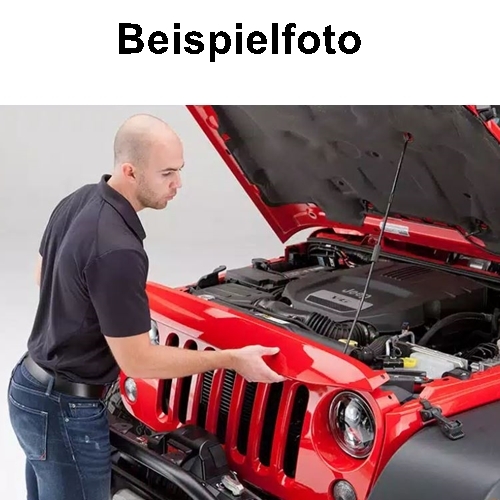 Jeep Wrangler JK Night Hawk Light Brow Blende Böser Blick weiss lackiert Rugged Ridge 07-18