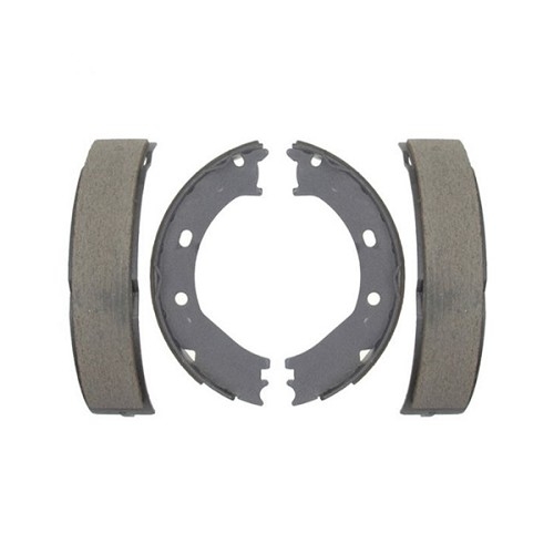 Dodge RAM1500 Parking Brake Shoe Raybestos  Professional Grade 02-18