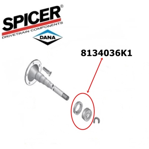 YJ Radlager Satz 2-teilig Dana 35 Hinterachse Spicer 90-95