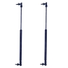Jeep Grand Cherokee WH WK Set Heckklappendämpfer Dämpfer Heckklappe Tuff Support 05-07