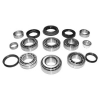 Jeep Grand Cherokee WJ Differential Master Overhaul Kit Dana 35 Rear Axle 99-04